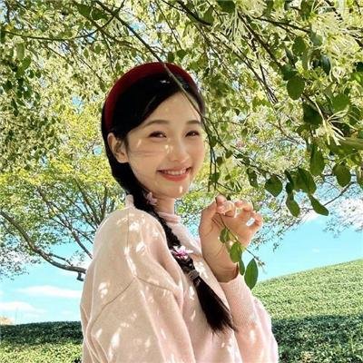 诱惑者的日记